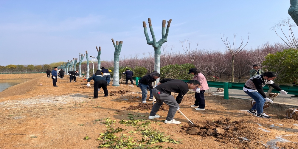 黨建引領共植綠 凝心聚力譜新篇 ——和合生態(tài)、德嘉置業(yè)黨支部赴小廟基地義務植樹